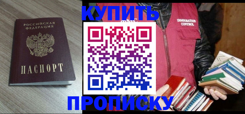 прописка 2025 в Раменском